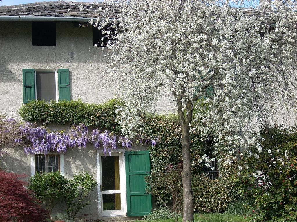 B&B L'Isola Piantedo Esterno foto